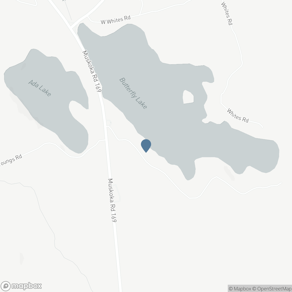 1031 BUTTERFLY ROAD, Bala, Ontario P0C 1A0